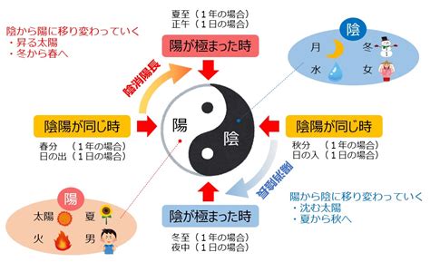 陰陽不調|第19回 陰陽学説～陰陽のバランスを崩すと病気。